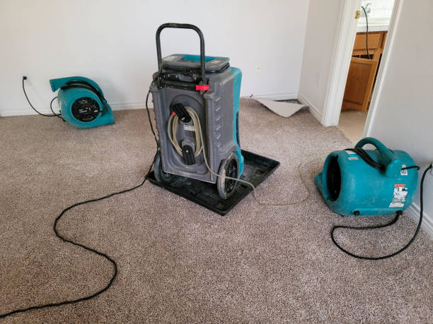 Trusted IN Water damage restoration Experts